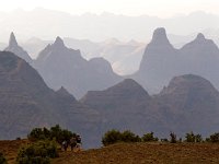 Simien Silhouettes