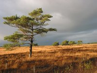 Storm over Wapse