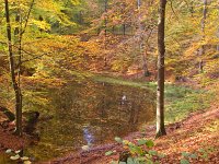 Posbank