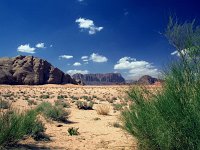 Wadi Rum Trekking