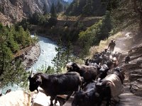 Nepal - Dolpo