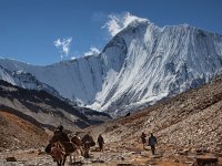 Nepal - Dolpo
