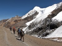 Nepal - Dolpo