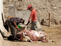 Nepal - Mustang